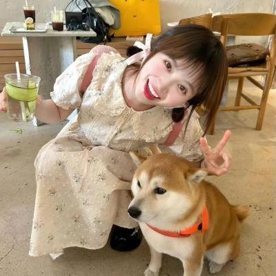 追星星的人